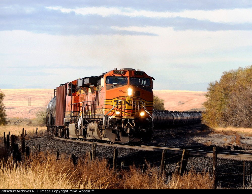 BNSF 5647